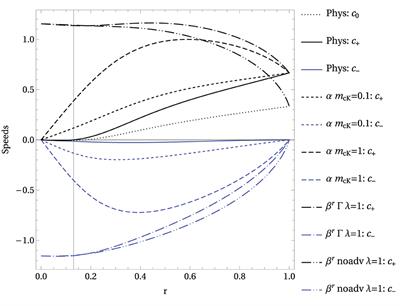 Spherically symmetric black hole spacetimes on hyperboloidal slices
